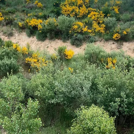 Rural En Angeles De San Rafael * El Espinar